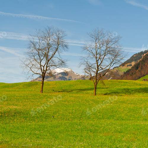 Preview: Alpine Pasture Framed By Mountains In Switzerland