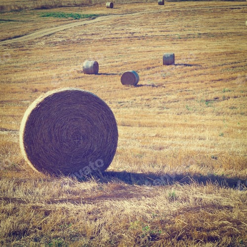Preview: Dirt Road Across The Fields With Many Hay Bales In Tuscany, Italy, Instagram Effect