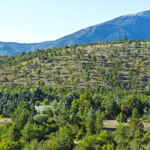 Preview: Alpine Landscape Of Alpes-De-Haute-Provence Department In Southeastern France. Neighborhoods Of A