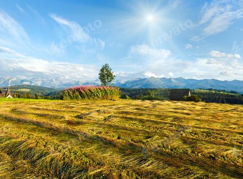 Preview: Summer Mountain Evening Country View With Mown Field And Lonely Tree And Tatra Range Behind