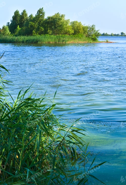 Preview: Summer Rushy Lake View With Small Grove On Shore