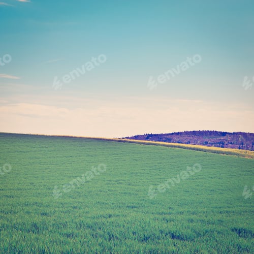Preview: Sloping Meadows In Switzerland, Retro Effect