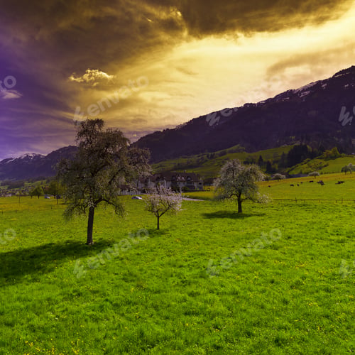 Preview: Green Pastures In Switzerland At Sunset