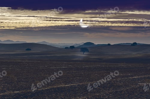 Preview: Olive Grove And Fields In Spain After Harvesting In The Light Of The Moon. Breathtaking Landscape