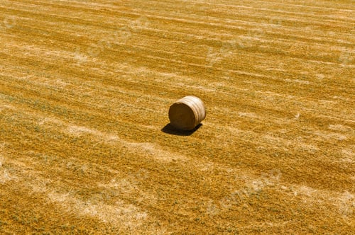 Preview: Hay Bale in a Sunny Rural Field