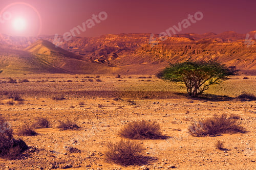 Preview: Rocky Hills Of The Negev Desert In Israel At Sunset. Breathtaking Landscape Of The Rock Formations