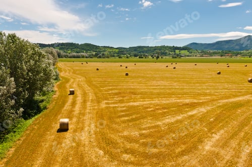 Preview: Landscape With Many Hay Bales