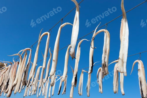 Preview: Hanging Fishes In Denia Alicante Province Spain