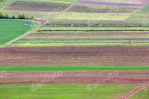 Preview: Colorful Fields, Spring Country Landscape. Ternopil Region, Ukraine.