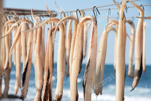 Preview: Hanging Fishes In Denia Alicante Province Spain