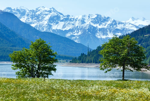 Preview: Reschensee ( Or Lake Reschen) Summer Landscape With Blossoming Meadow (Italy)
