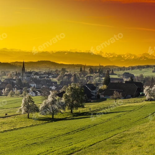 Preview: Pasture On The Background Of Snow-Capped Alps In Switzerland At Sunset. Swiss Small Town At The