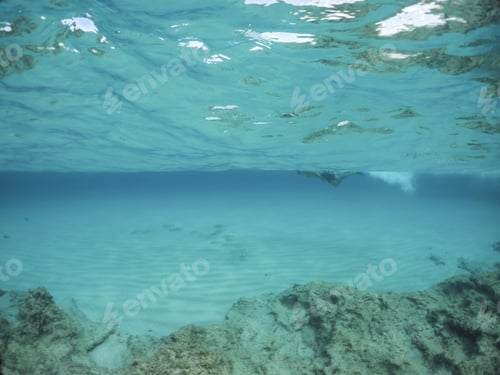 Preview: Young Man Snorkeling In Formentera Island Balearics Spain