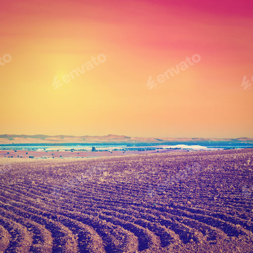 Preview: Plowed Field In Spain, Sunset, Instagram Effect