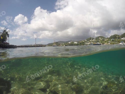 Preview: Under Water Scene Young Island, Saint Vincent And The Grenadines Caribbean Sea