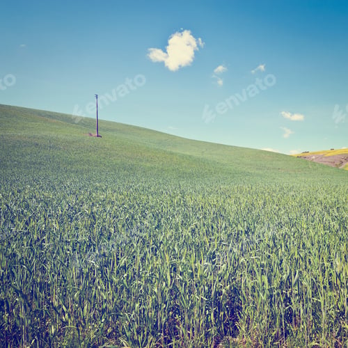 Preview: Green Sloping Meadows Of Tuscany, Instagram Effect