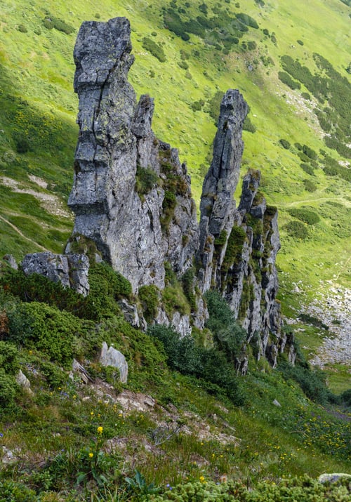 Preview: Summer Mountain Slope With Picturesque Rock Formations. Shpyci Mountain, Carpathian, Ukraine.