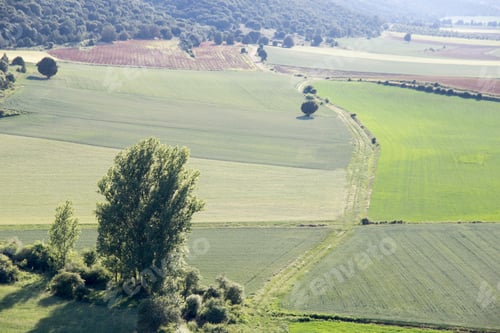 Preview: Panorama From The Castle In Medieval Village Of Calatanazor In Soria Region, Northern Spain