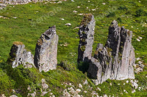 Preview: Summer Mountain Slope With Picturesque Rock Formations. Shpyci Mountain, Carpathian, Ukraine.