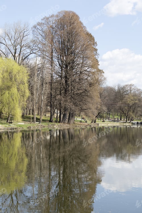 Preview: Landscape In Romanescu Park Craiova, Romania On March 17, 2017