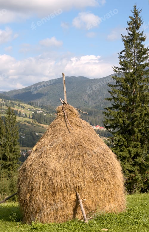 Preview: Summer Mountain Green Meadow With Stacks Of Hay (Carpathian Mt-S, Ukraine).