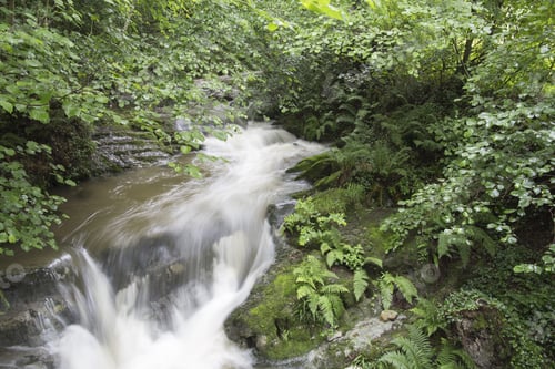 Preview: Valles Pasiegos Cantabria Landscape Wiht Stream Selaya Spain