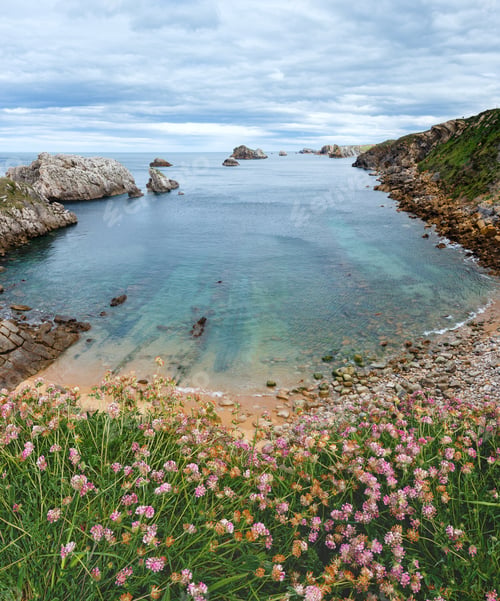 Preview: Ocean Coastline Summer Landscape (Spain) With Pink Flowers In Front.