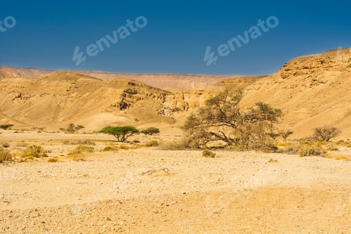 Preview: Rocky Hills Of The Negev Desert In Israel. Breathtaking Landscape Of The Rock Formations In The