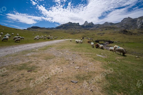 Vorschau: Nationalpark Ossau-Tal der Pyrenäen Frankreich