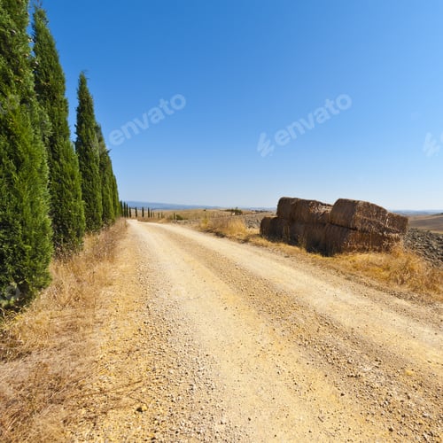 Preview: Stubble Fields On The Hills Of Tuscany. Tuscany Landscape After Harvest. Dirt Road Lined With