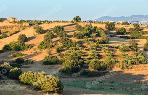 Preview: Beautiful Landscape Of Sicily Summer Countryside In Italy.