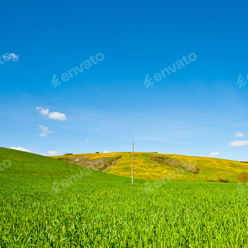 Preview: Sloping Meadows Of Tuscany In Italy, Instagram Effect