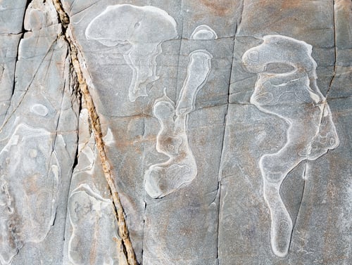 Preview: Stony Background Macro With Interesting Abstract Tracery.