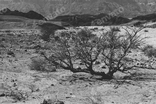 Preview: Loneliness And Emptiness Of The Rocky Hills Of The Negev Desert In Israel. Breathtaking Landscape