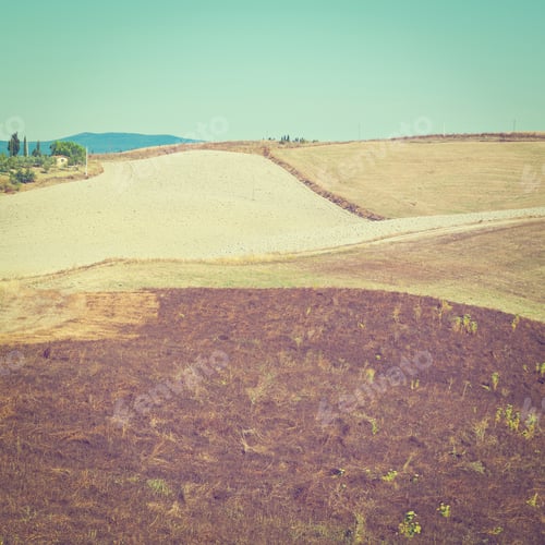 Preview: Plowed Sloping Hills Of Tuscany In The Autumn, Instagram Effect