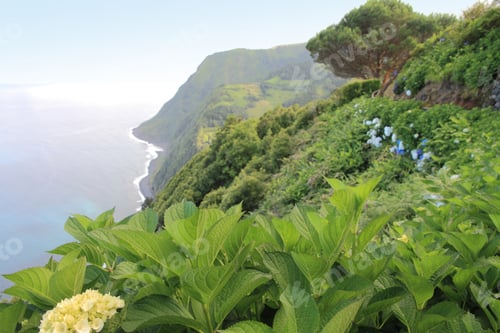 Preview: Panorama Sao Miguel Azores Islands Portugal