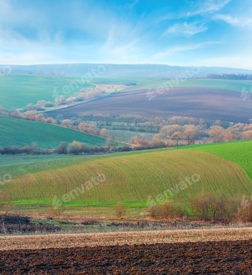 Preview: Spring Morning Rural Country Landscape With Plowed Agricultural Fields On Hills, Trees And Groves