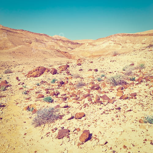 Preview: Rocky Hills Of The Negev Desert In Israel, Instagram Effect