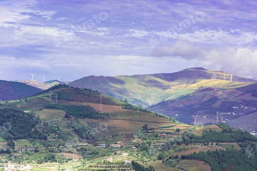 Preview: Vineyards Of The River Douro Region In Portugal. Viticulture In The Portuguese Village. Gorgeous