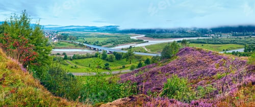 Preview: Summer Evening Country Foothills Panorama With Heather Flowers And Wooden Cross (Lviv Oblast