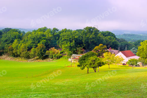 Preview: Mist Morning In The French Limousen