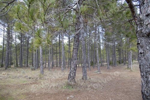 Preview: Torcas Or Dolinas Lakes In Cuenca Castile La Mancha Spain Canada Del Hoyo