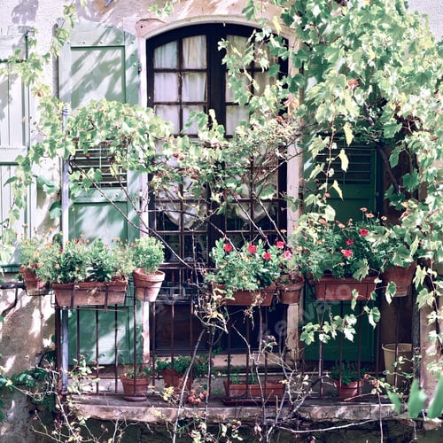 Preview: Window With Open Wooden Shutters, Decorated With Fresh Flowers, Vintage Style Toned Picture