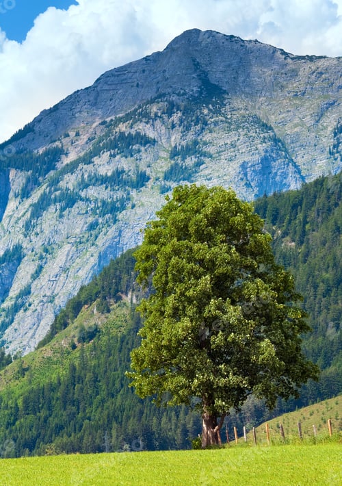 Preview: Alps Mountain Meadow Tranquil Summer View (Austria, Gosau Village Outskirts)