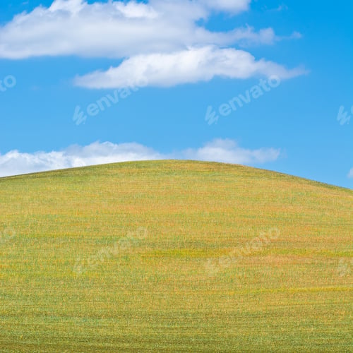 Preview: Wheat Fields On The Hill Of Sicily