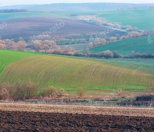 Preview: Spring Morning Rural Country Landscape With Plowed Agricultural Fields On Hills, Trees And Groves