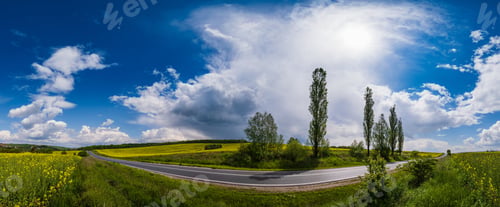 Preview: Road Through Spring Rapeseed Yellow Blooming Fields Panoramic View, Blue Sky With Clouds And