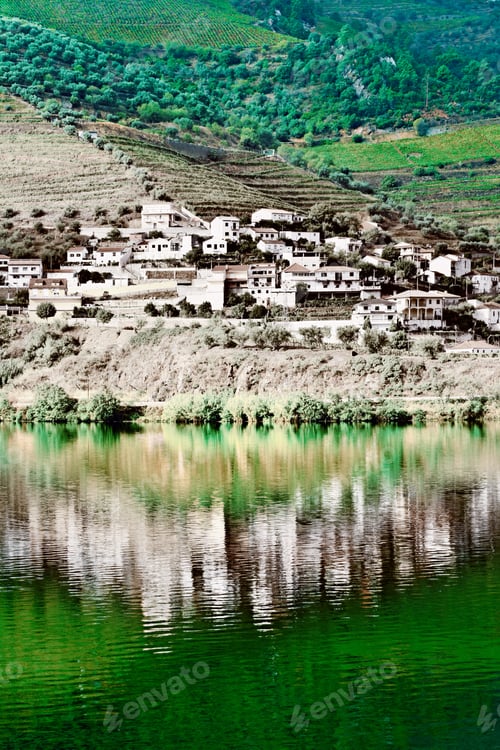 Preview: Vineyards In The Valley Of The River Douro, Portugal, Vintage Style Toned Picture
