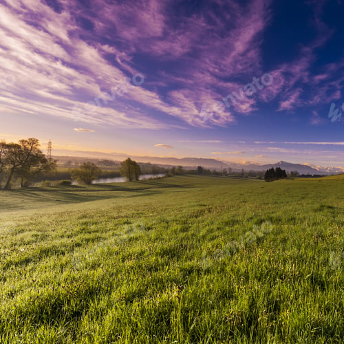 Preview: Pasture On The Background Of Snow-Capped Alps In Switzerland At Sunset. Swiss Landscape With