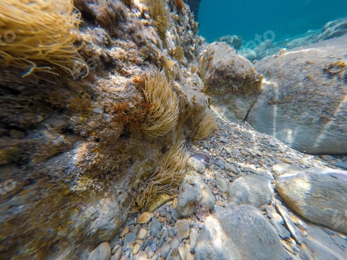 Preview: Underwater Image Moraira Beach Alicante Province Spain Mediterranean Sea